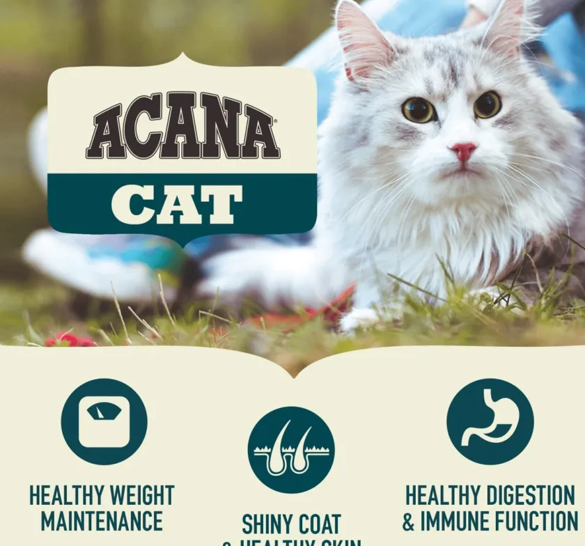Acana Gatitos (0 A 12 Meses)^Cat First Feast 1.8kg