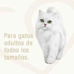 Fancy Feast - Purina Húmedos^Alimento húmedo Fancy Feast Goulash Pavo 85g