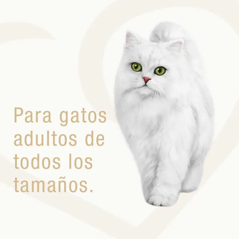 Fancy Feast - Purina Húmedos^Alimento húmedo Fancy Feast Goulash Pavo 85g