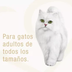 Fancy Feast - Purina Húmedos^Alimento húmedo Fancy Feast Goulash Atún 85g PACK 15 Unidades