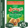 Dog Chow - Purina Húmedos^Alimento húmedo para perro DOG CHOW® Adultos Minis y Pequeños Sabor Salmón 100gr Pack 15 Unidades