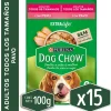 Dog Chow - Purina Húmedos^Alimento húmedo para perro DOG CHOW® Adultos con Pavo sobre 100gr Pack 15 Unidades