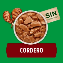 Dog Chow - Purina Húmedos^Alimento húmedo para perro DOG CHOW® Adultos con Cordero sobre 100gr Pack 15 Unidades