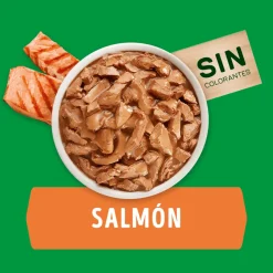 Dog Chow - Purina Húmedos^Alimento húmedo para perro DOG CHOW® Adultos Minis y Pequeños Sabor Salmón 100gr Pack 15 Unidades