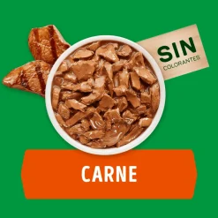 Dog Chow - Purina Húmedos^Alimento húmedo para perro DOG CHOW® Adultos Minis y Pequeños Sabor Carne 100gr Pack 15 Unidades