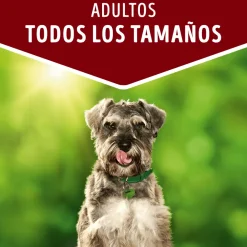 Dog Chow - Purina Húmedos^Alimento húmedo para perro DOG CHOW® Adultos con Cordero sobre 100gr Pack 15 Unidades