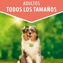 Dog Chow - Purina Húmedos^Alimento húmedo para perro DOG CHOW® Adultos con Pollo sobre 100gr Pack 15 Unidades