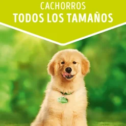Dog Chow - Purina Húmedos^Alimento húmedo para perro DOG CHOW® Cachorros con Pollo sobre 100gr Pack 15 Unidades