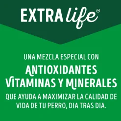 Dog Chow - Purina Húmedos^Alimento húmedo para perro DOG CHOW® Adultos con Cordero sobre 100gr Pack 15 Unidades