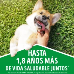 Dog Chow - Purina Húmedos^Alimento húmedo para perro DOG CHOW® Adultos Minis y Pequeños Sabor Carne 100gr Pack 15 Unidades