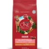 Purina One Adultos (1 A 7 Años)^Alimento para perro PURINA® ONE® Adulto Mediano y Grande Pollo y Cordero