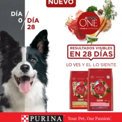 Purina One Adultos (1 A 7 Años)^Alimento para perro PURINA® ONE® Adulto Mediano y Grande Pollo y Cordero