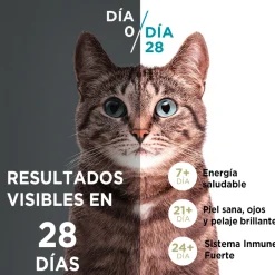 Purina One Adultos (1 A 7 Años)^Alimento seco para gato PURINA® ONE® Adulto Pollo y Carne