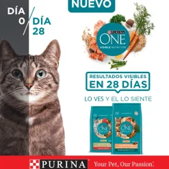 Purina One Adultos (1 A 7 Años)^Alimento seco para gato PURINA® ONE® Adulto Pollo y Salmón