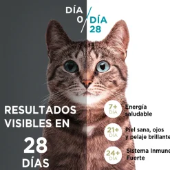 Purina One Gatitos (0 A 12 Meses)^Alimento seco para gato PURINA® ONE® Gatito Pollo y Carne