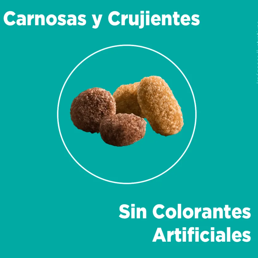 Purina One Gatitos (0 A 12 Meses)^Alimento seco para gato PURINA® ONE® Gatito Pollo y Carne