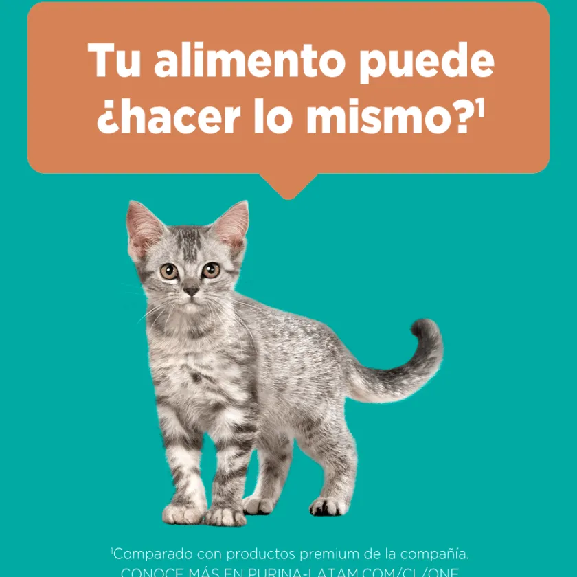 Purina One Gatitos (0 A 12 Meses)^Alimento seco para gato PURINA® ONE® Gatito Pollo y Carne