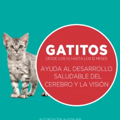 Purina One Gatitos (0 A 12 Meses)^Alimento seco para gato PURINA® ONE® Gatito Pollo y Carne
