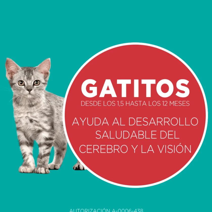 Purina One Gatitos (0 A 12 Meses)^Alimento seco para gato PURINA® ONE® Gatito Pollo y Carne