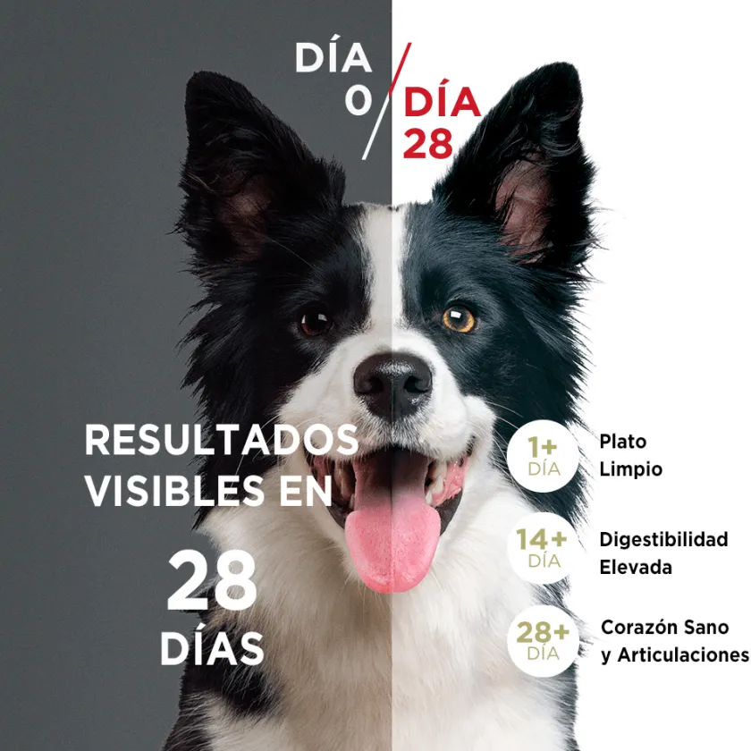 Purina One Cachorros (0 A 12 Meses)^Alimento seco para perro PURINA® ONE® Cachorro Pollo y Carne
