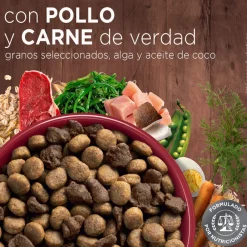 Purina One Adultos (1 A 7 Años)^Alimento seco para perro PURINA® ONE® Adulto Mediano y Grande Pollo y Carne