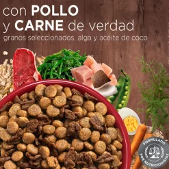 Purina One Cachorros (0 A 12 Meses)^Alimento seco para perro PURINA® ONE® Cachorro Pollo y Carne