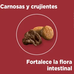 Purina One Adultos (1 A 7 Años)^Alimento seco para perro PURINA® ONE® Adulto Mini y Pequeño Pollo y Carne