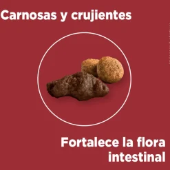 Purina One Adultos (1 A 7 Años)^Alimento seco para perro PURINA® ONE® Adulto Mediano y Grande Pollo y Carne