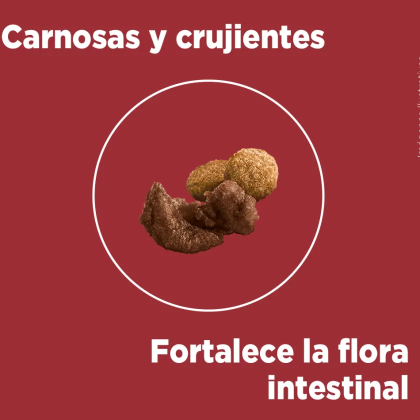 Purina One Cachorros (0 A 12 Meses)^Alimento seco para perro PURINA® ONE® Cachorro Pollo y Carne
