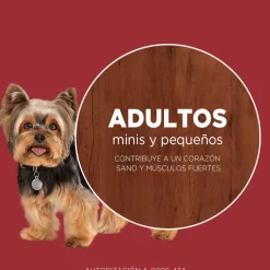 Purina One Adultos (1 A 7 Años)^Alimento seco para perro PURINA® ONE® Adulto Mini y Pequeño Pollo y Carne