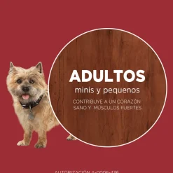 Purina One Adultos (1 A 7 Años)^Alimento seco para perro PURINA® ONE® Adulto Mini y Pequeño Pollo y Cordero