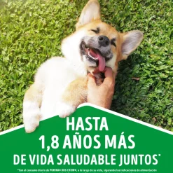 Dog Chow - Purina Adultos (1 A 7 Años)^Alimento seco para perro DOG CHOW® Adultos Minis y Pequeños Pollo y Pavo 8kg
