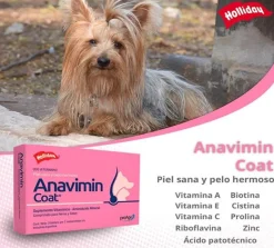 Holliday Vitaminas Y Suplementos^Anavimin Coat Perros y Gatos 21 Comprimidos