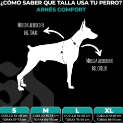 Street Dogs Arnes, Collares Y Correas^Arnés Comfort Para Perros StreetDogs Black M