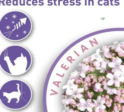 Beaphar Relajación Para Gatos^Calming Collar calmante Gato