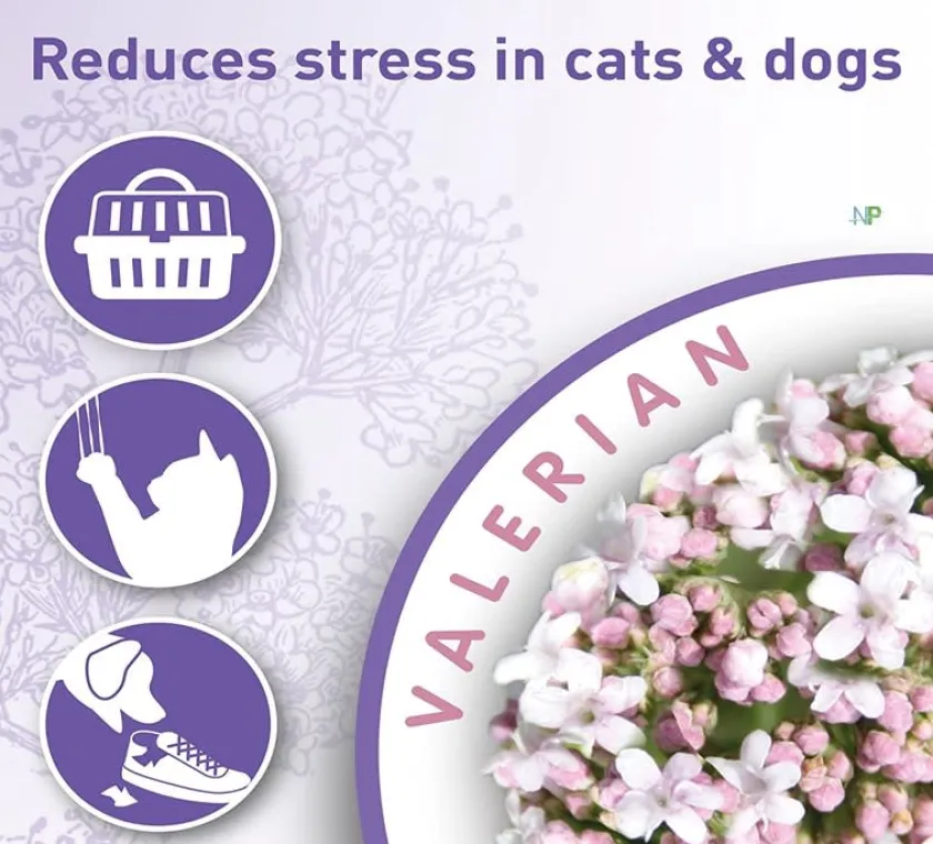 Beaphar Relajación Para Perros^Calming Home Spray Calmante Perros y Gatos 125ml