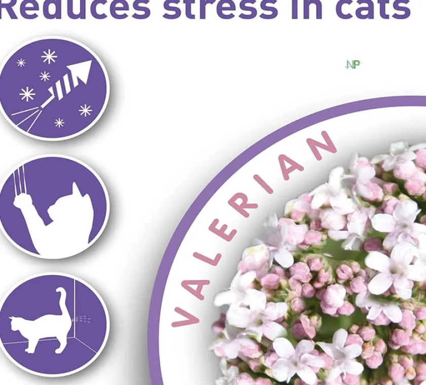 Beaphar Relajación Para Gatos | Adiestramiento^Calming Spot On Pipeta Calmante Gato 3 unidades