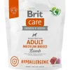 Brit Care Adultos (1 A 7 Años)^Adult Medium Breed Lamb Hypoallergenic 1kg