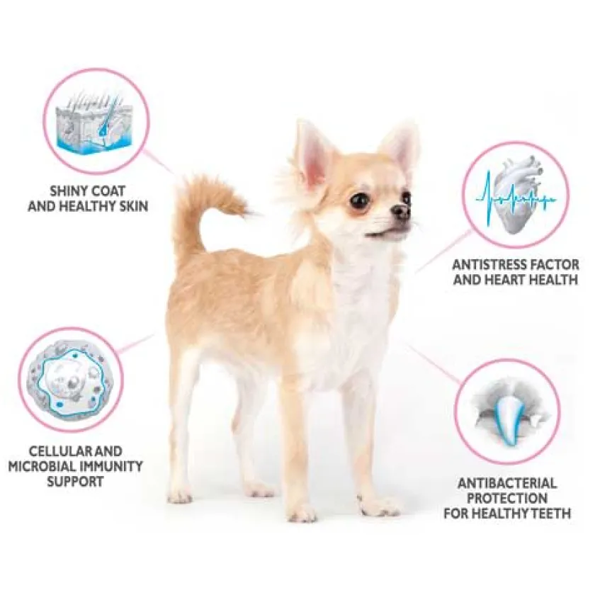 Brit Care Específicos Para Razas | Adultos (1 A 7 Años)^Adult Mini Yorkshire 7kg