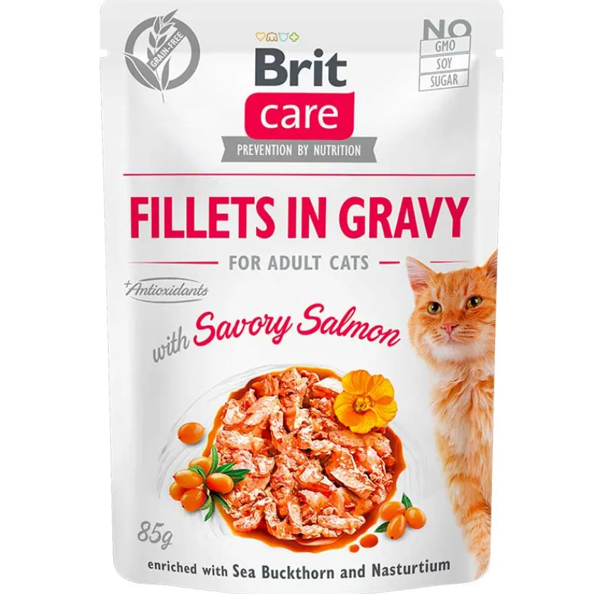 Brit Care Húmedos^Cat Fillets in Gravy Pouch Salmon 85gr Pack 12 Unidades