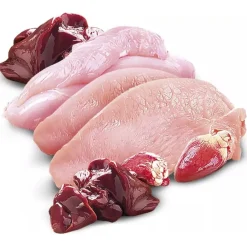 Brit Care Húmedos^Paté & Meat Puppy 400gr