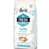 Brit Fresh Adultos (1 A 7 Años)^Pescado y Calabaza perros Adultos de raza grande 12kg