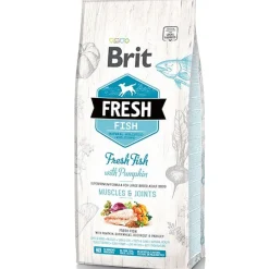 Brit Fresh Adultos (1 A 7 Años) | Productos Outlet^Pescado y Calabaza perros Adultos de raza grande 2.5kg
