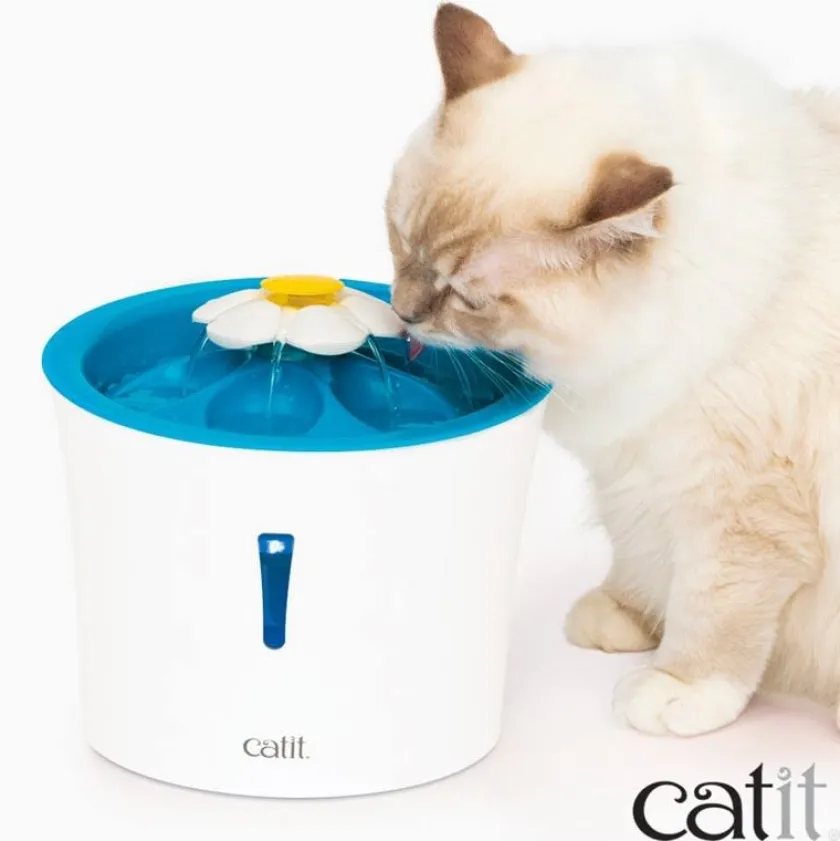 Cat it Comederos Y Fuentes De Agua^Fuente Bebedera Flor con luces Led 3Ltrs