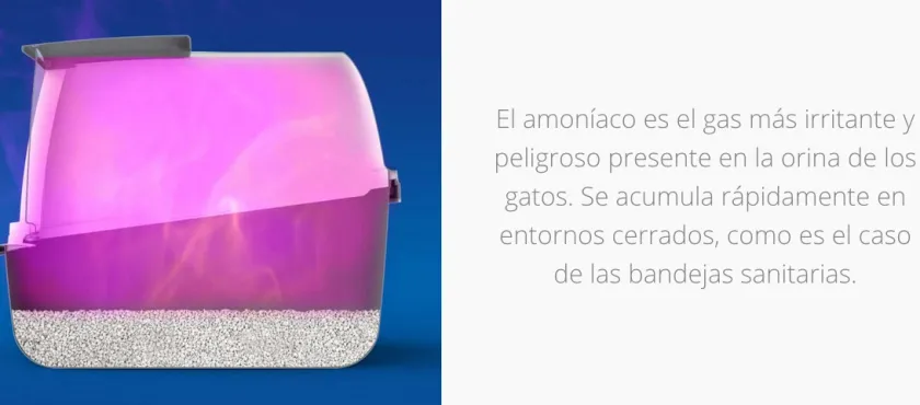 Cat it Areneros | Baños Sanitarios (areneros)^Magic Blue REPUESTO