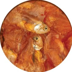 Cat it Naturales^Nibbly Wraps Pollo y Pescado 30gr