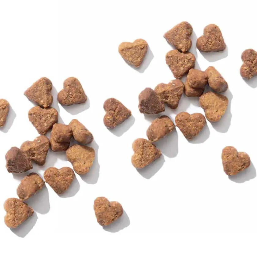 Cat it Galletas^Nuna Insecto y Arenque 60gr