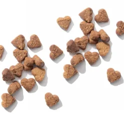 Cat it Galletas^Nuna Insecto y Pollo 60gr