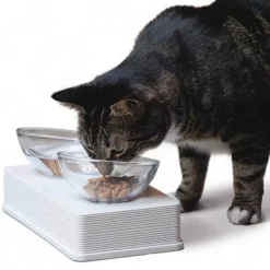 Cat it Comederos Y Fuentes De Agua^Plato de vidrio Base Blanca para gatos