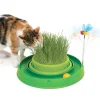 Cat it Hierba Gatera^Play Circuito 3 en 1 con Pasto